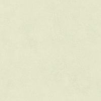 Неглазурованный керамогранит LEONARDO 1502 CODE CdExtwhite60 Неглазурованный керамогранит LEONARDO 1502 CODE CdExtwhite60