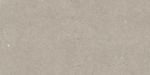 Неглазурованный керамогранит LA FAENZA SUITE STONE Argent612 купить недорого в интернет-магазине Керамос