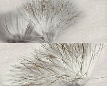 Декоративный элемент Ape Globe DecorSet(2)BaseAcero 20x50