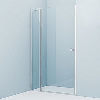 Душевая дверь IDDIS, RAY6CP2i69 Ray распашная 120х195 см, глянцевый алюминиевый профиль