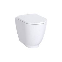 Чаша унитаза Geberit 500.602.01.8 Acanto, без ободка