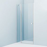 Душевая дверь распашная, глянцевый ал. проф., 100х195, Ray, IDDIS RAY6CP0i69