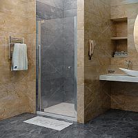 Душевая дверь RGW HO-04 80х195 прозрачное 01060408-11