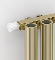 Радиатор отопления Сунержа Кумир 020-0350-5003