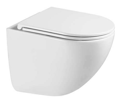 Унитаз подвесной Terminus Аврора 01WM49x36W