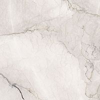 Глазурованный керамогранит LA FAENZA AESTHETICA AeCam6120Lpm