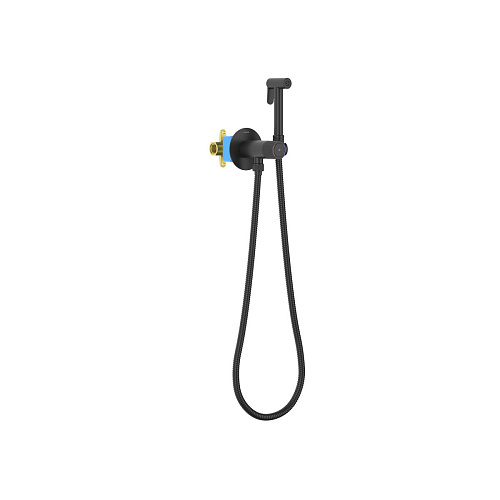Комплект Aquatek AQ1023MB Бетта для гигиенического душа Select встроенный, черный матовый