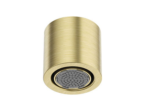 Душевая головка Deante NQS_R30K Silia, брашированное золото Душевая головка Deante NQS_R30K Silia, брашированное золото