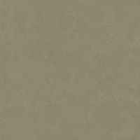 Неглазурованный керамогранит LEONARDO 1502 CODE CdBronze120 Неглазурованный керамогранит LEONARDO 1502 CODE CdBronze120
