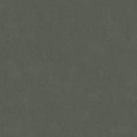 Неглазурованный керамогранит LEONARDO 1502 CODE CdLead120 Неглазурованный керамогранит LEONARDO 1502 CODE CdLead120