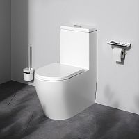 Унитаз напольный AM.PM FUNC C8F8900SC