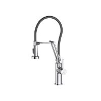 Aquatek AQ1388CR Европа Смеситель для кухни 2jet (профессиональный), хром Aquatek AQ1388CR Европа Смеситель для кухни 2jet (профессиональный), хром