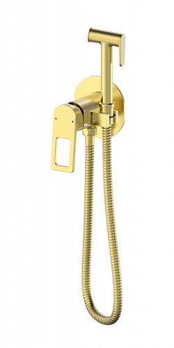 Смеситель с гигиеническим душем Wonzon & Woghand WW-88829010-BG Смеситель с гигиеническим душем Wonzon & Woghand WW-88829010-BG