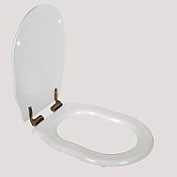 Сиденье TW Bristol TWBR21bi/br для напольного унитаза, белое/бронза