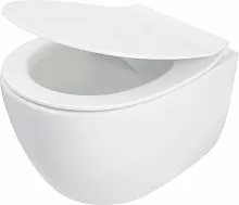 Унитаз Deante CDLD6ZPW Silia подвесной 36х51 см, с сиденьем микролифт, белый