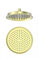 Лейка для душа Wonzon & Woghand  WW-88DP05-BG Лейка для душа Wonzon & Woghand  WW-88DP05-BG