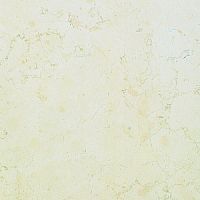 Керамогранит Imola Maxima Biancone 50S 50*50 (Biancone50S)