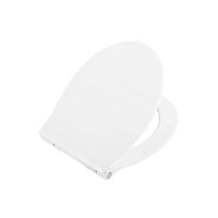 Крышка-сиденье BelBagno  BB216QSC
