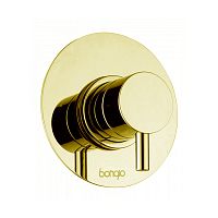 Bongio 68524HMPREU Bongio ON Смеситель скрытого монтажа ,розетка 96 мм, цвет матовое французское золото (без внутр части 09761)