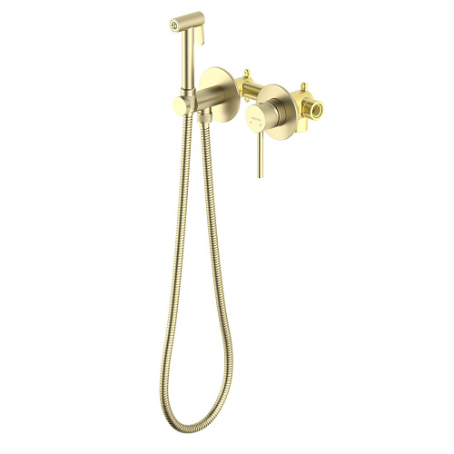 Смеситель с гигиеническим душем Aquatek ЕВРОПА AQ1319BG