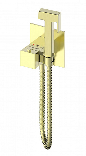 Смеситель с гигиеническим душем Wonzon & Woghand WW-88829910-BG Смеситель с гигиеническим душем Wonzon & Woghand WW-88829910-BG