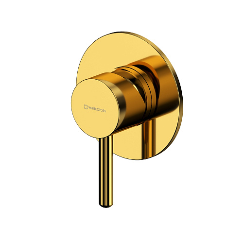 Смеситель для душа, встраиваемый Whitecross Y Y1245GL