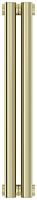 Радиатор Сунержа 020-0332-5002 Эстет-00 отопительный н/ж 500х90 мм/ 2 секции, шампань