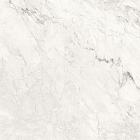 Неглазурованный керамогранит La Faenza Aesthetica AeCal6120Rm 120x120