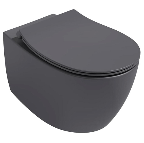 Унитаз подвесной ISVEA Sentimenti 10AR02013-2C