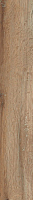 Глазурованный керамогранит SANT'AGOSTINO Barkwood BarkwoodNat20120