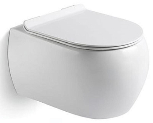 Унитаз подвесной Sole LOOK11SC1 Look, с крышкой Soft-close, 37х50 см, белый Унитаз подвесной Sole LOOK11SC1 Look, с крышкой Soft-close, 37х50 см, белый