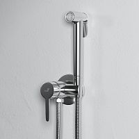 Гигиенический душ RGW 511408206-01 Shower Panels SP-206 со смесителем, хром