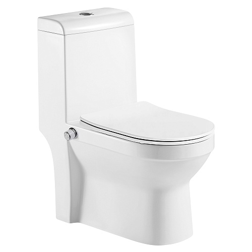 Унитаз-моноблок Azario AZ-1085B Brusco напольный 80.5х38х70 см, белый Унитаз-моноблок Azario AZ-1085B Brusco напольный 80.5х38х70 см, белый