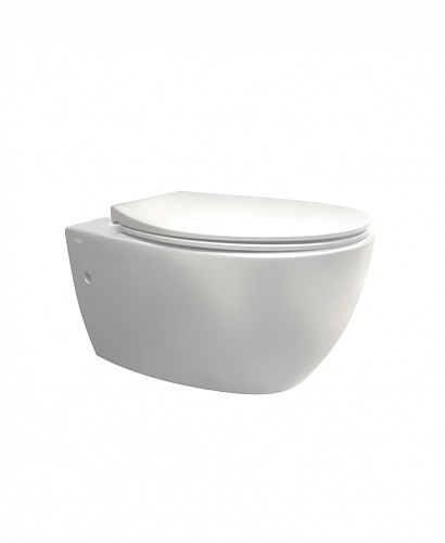 Унитаз Creo ceramique COMBO-AV1100W/AV1001WT Avignon подвесной 37х54 см, белый