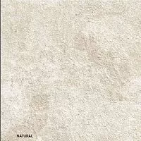 Глазурованный керамогранит DualGres Peyto PeytoNatural60*60C3(R11) купить недорого в интернет-магазине Керамос