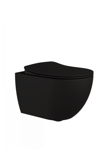 Чаша унитаза-биде Creavit FE322-00SM00E-0000 Free подвесной 35.5х51 см, безободковый, без сиденья, черный матовый Чаша унитаза-биде Creavit FE322-00SM00E-0000 Free подвесной 35.5х51 см, безободковый, без сиденья, черный матовый