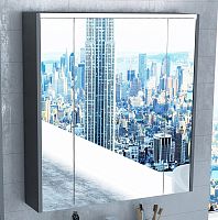 Зеркальный шкаф Roca ZRU9302969 RONDA подсветка,стекл,полоч,74,5x19х83 , (белый глянец,серый матовый)