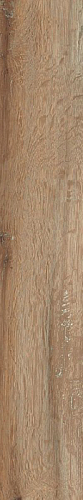 Глазурованный керамогранит SANT'AGOSTINO Barkwood BarkwoodNat20120 купить недорого в интернет-магазине Керамос